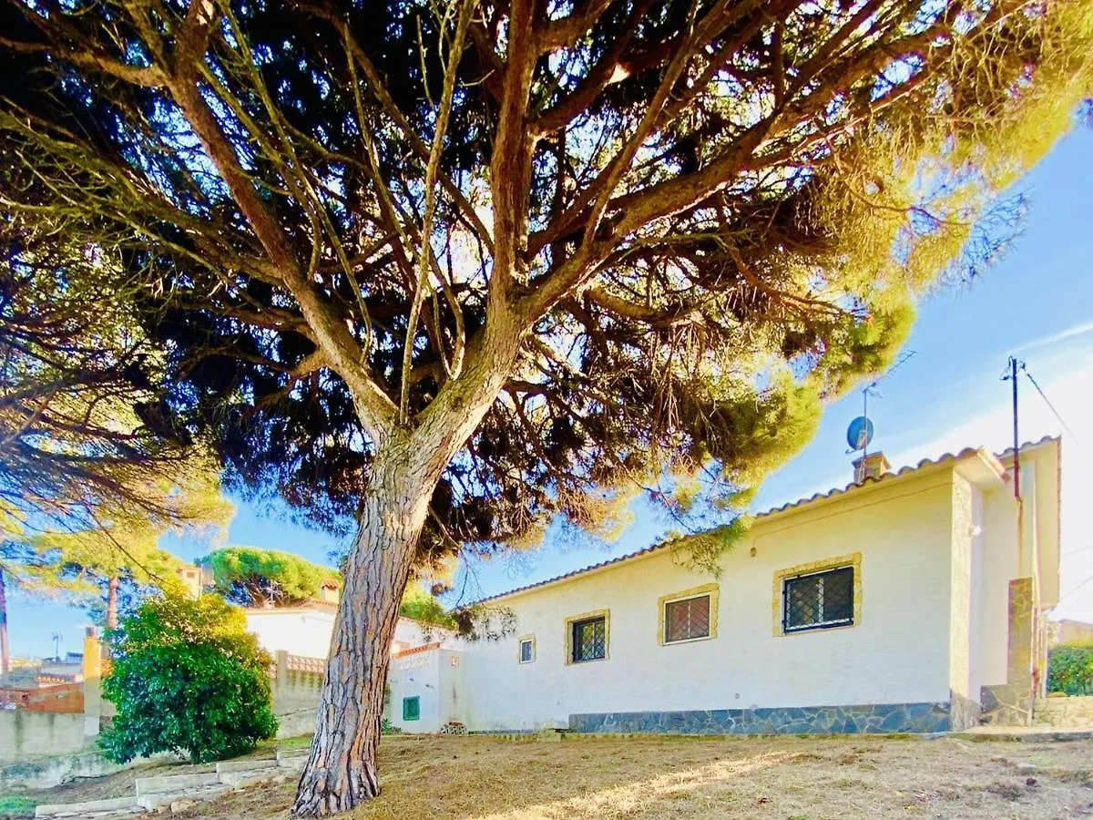 Holiday home Costa Costabravasi Spain